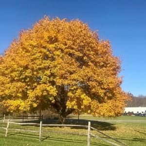 Meet your Posher, Adriana